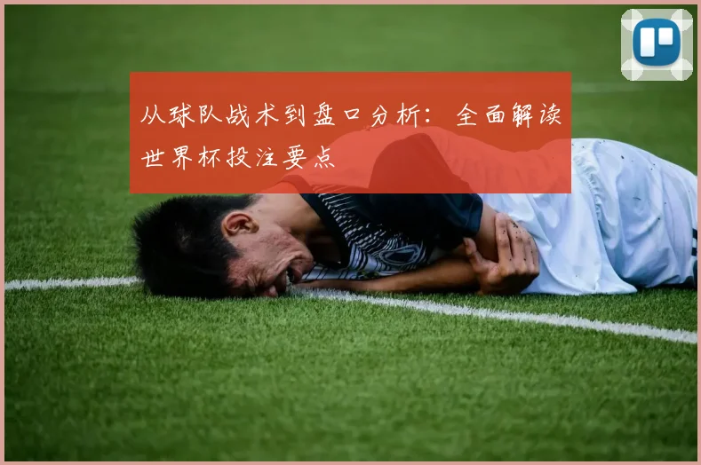 从球队战术到盘口分析：全面解读世界杯投注要点