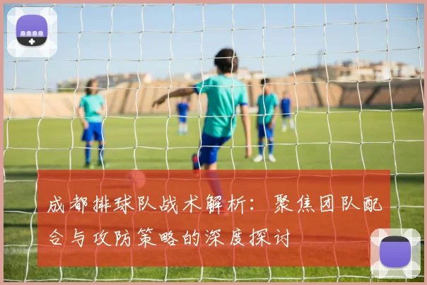 成都排球队战术解析：聚焦团队配合与攻防策略的深度探讨